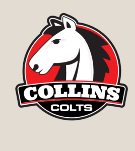 Collins Elementary School – Cupertino, CA
